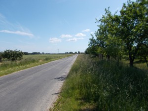 DSCN0030