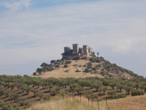DSCN0803
